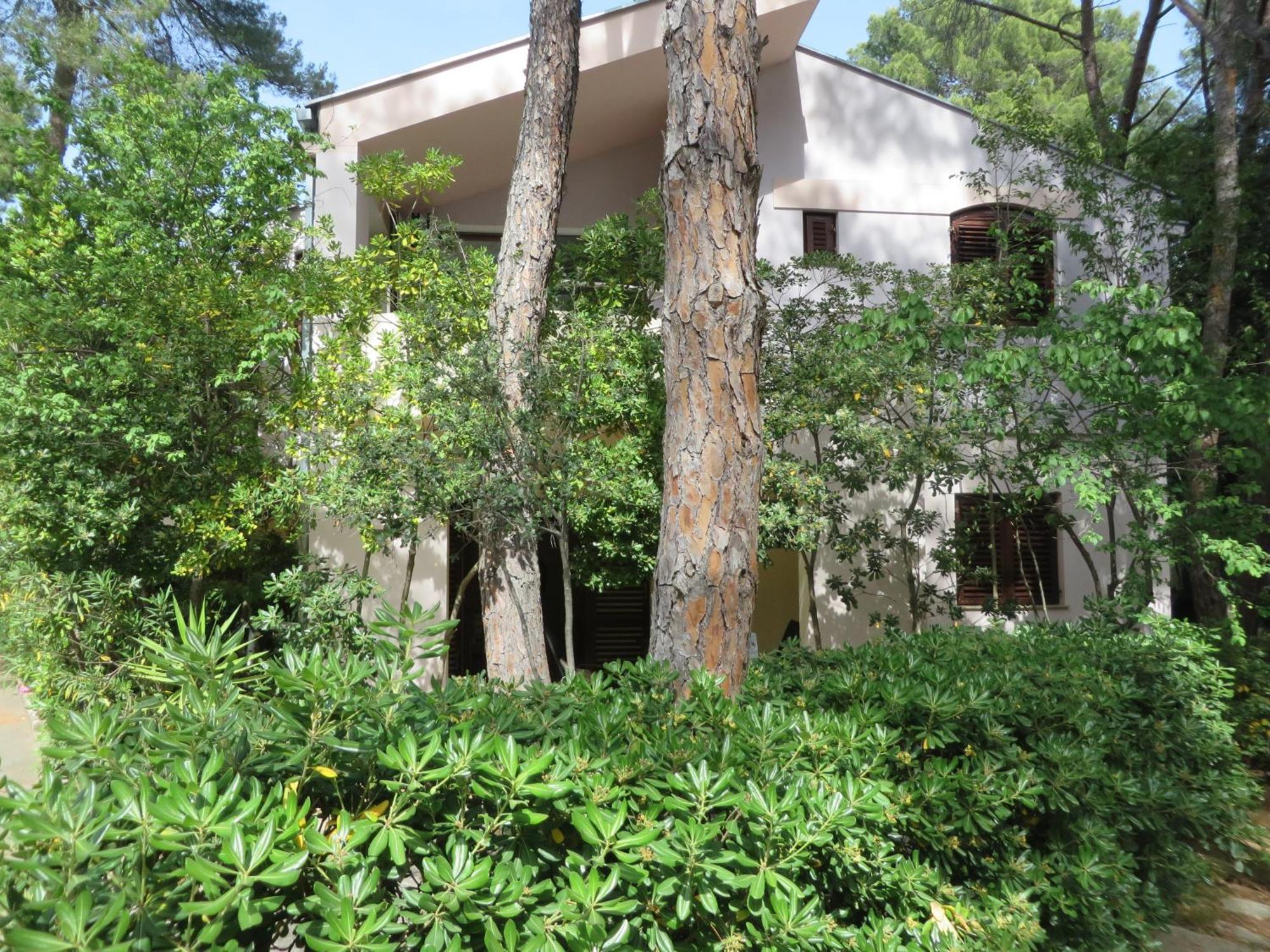 Soline Beach Apartments Biograd Na Moru Szoba fotó